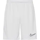 Nike Shorts DV9742-100 für Herren