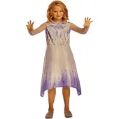 Disguise Disney Die Eiskönigin – Völlig Unverfroren Elsa Basic Plus Mädchenkostüm