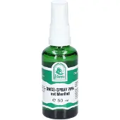 St. Severin Dmso-Spray 70% mit Menthol 50 ml Spray