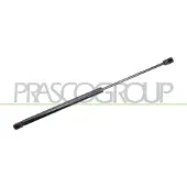 PRASCO Gasfeder, Koffer-/Laderaum AD3209055