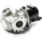 Delphi AGR Ventil EG10507-12B1