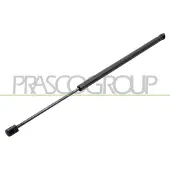 PRASCO Gasfeder, Koffer-/Laderaum VG4509055