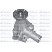 DOLZ Wasserpumpe R196