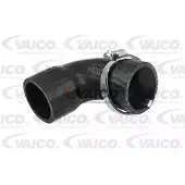 VAICO Ladeluftschlauch Q+, Erstausrüsterqualität V25-1020