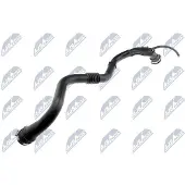 NTY GPP-RE-006 Turbo Ladeluftschlauch für RENAULT CLIO II (BB0/1/2, CB0/1/2) KANGOO (KC0/1) SCÉNIC II (JM0/1) MEGANE II Coupé-Cabriolet (EM0/1)