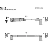 Tesla Zündleitungssatz T001B