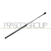 PRASCO Gasfeder, Koffer-/Laderaum FD0509055