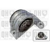 Quinton Hazell Motorlager Gummimetalllager für FIAT DUCATO Kasten (244) EM4365