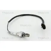 TRISCAN Lambdasonde 8845 25012