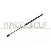 PRASCO Gasfeder, Koffer-/Laderaum FD3449055