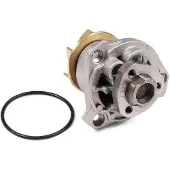 GK Wasserpumpe 980250