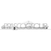 PRASCO Fensterheber DS950W011