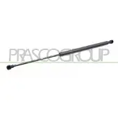 PRASCO Gasfeder, Koffer-/Laderaum PG4209055