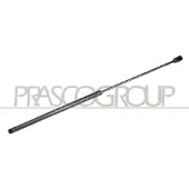 PRASCO Gasfeder, Koffer-/Laderaum FD4289055