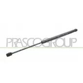 PRASCO Gasfeder, Koffer-/Laderaum FT1329055