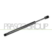 PRASCO Gasfeder, Koffer-/Laderaum AD0229065