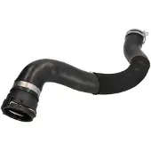 THERMOTEC Kühlerschlauch DWX249TT