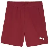 Puma Shorts TeamGloal