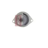AKS Dasis Wasserpumpe [Hersteller-Nr. 570113N] für Rover, Nissan, Peugeot, Citroën