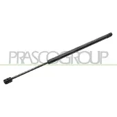 PRASCO Gasfeder, Koffer-/Laderaum VG7159055