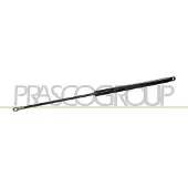 PRASCO Gasfeder, Koffer-/Laderaum FT1219055