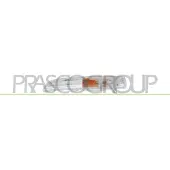 PRASCO Blinkleuchte VG6204314