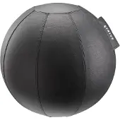 STRYVE Balancegerät Active Ball All Black 65cm