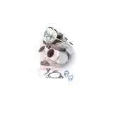 AKS Turbolader DASIS 215003N