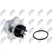 NTY Wasserpumpe [Hersteller-Nr. CPW-RE-042] für Renault, Lancia, Fiat, Peugeot