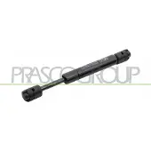 PRASCO Gasfeder, Koffer-/Laderaum VG0349065