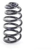 SUPLEX Fahrwerksfeder [Hersteller-Nr. 03297] für Audi