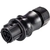 Wieland Electric Buchsenteil RST20i3S B1 ZR2 SW 20A