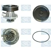 Saleri SIL Wasserpumpe PA859