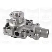 Graf Wasserpumpe PA1161