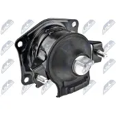 NTY Motorlager Hydrolager Hinten für HONDA Accord VII Limousine (CL, CN) ZPS-HD-030