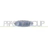 PRASCO Blinkleuchte MZ0154041