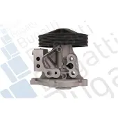 Bugatti Wasserpumpe PA10313
