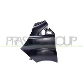 PRASCO Kotflügel fd9163004 vorne links für Ford