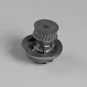 GK Wasserpumpe 981794