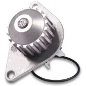 GK Wasserpumpe 986846