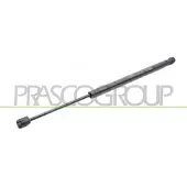 PRASCO Gasfeder, Koffer-/Laderaum FT0609055