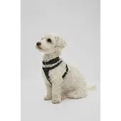 BOSS Hunde-Geschirr aus recyceltem Leder Grösse S