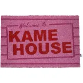 Dragon Ball Kame House