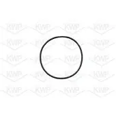 KWP Wasserpumpe 10491