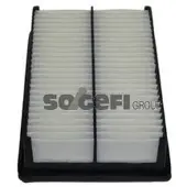 FRAM Luftfilter CA11189