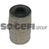 FRAM Luftfilter CA11231