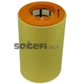 FRAM Luftfilter CA10415