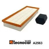 TECNOCAR Filter A2563