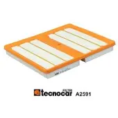 TECNOCAR Luftfilter A2591