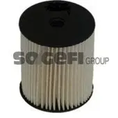TECNOCAR Kraftstofffilter N621